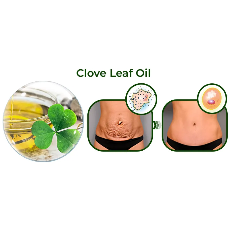 GFOUK Avocado Ageless Krpercreme-Peeling